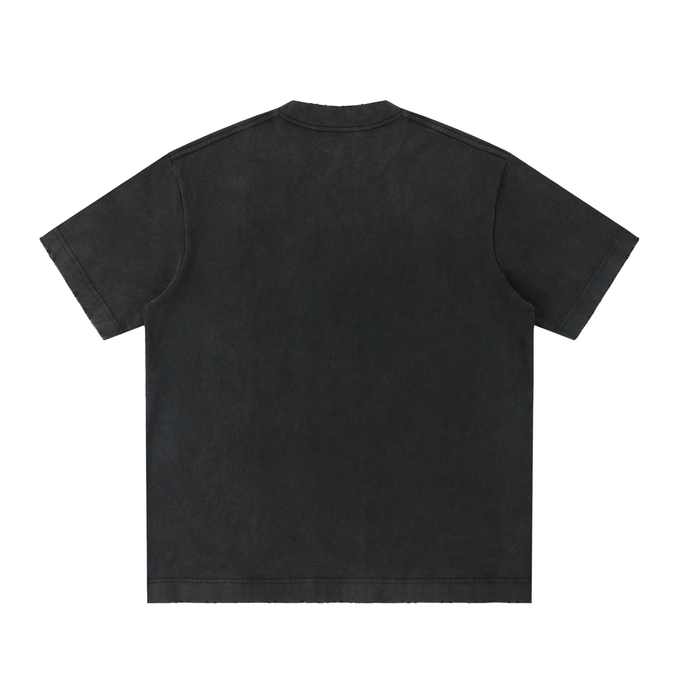 Biohacking Heavyweight Vintage Washed Frayed T-Shirt