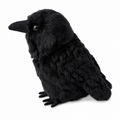 Black Crow Plush Toy