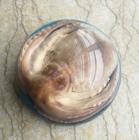 Amber Resin Insect Specimen Paperweight II