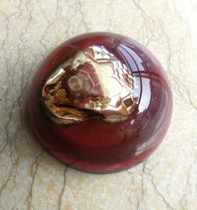 Amber Resin Insect Specimen Paperweight II