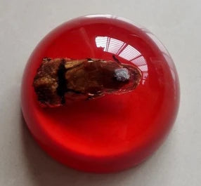Amber Resin Insect Specimen Paperweight II