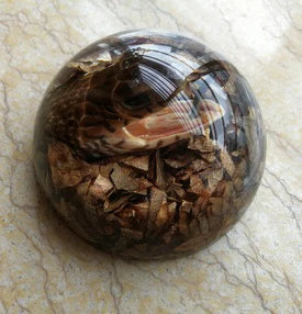 Amber Resin Insect Specimen Paperweight II