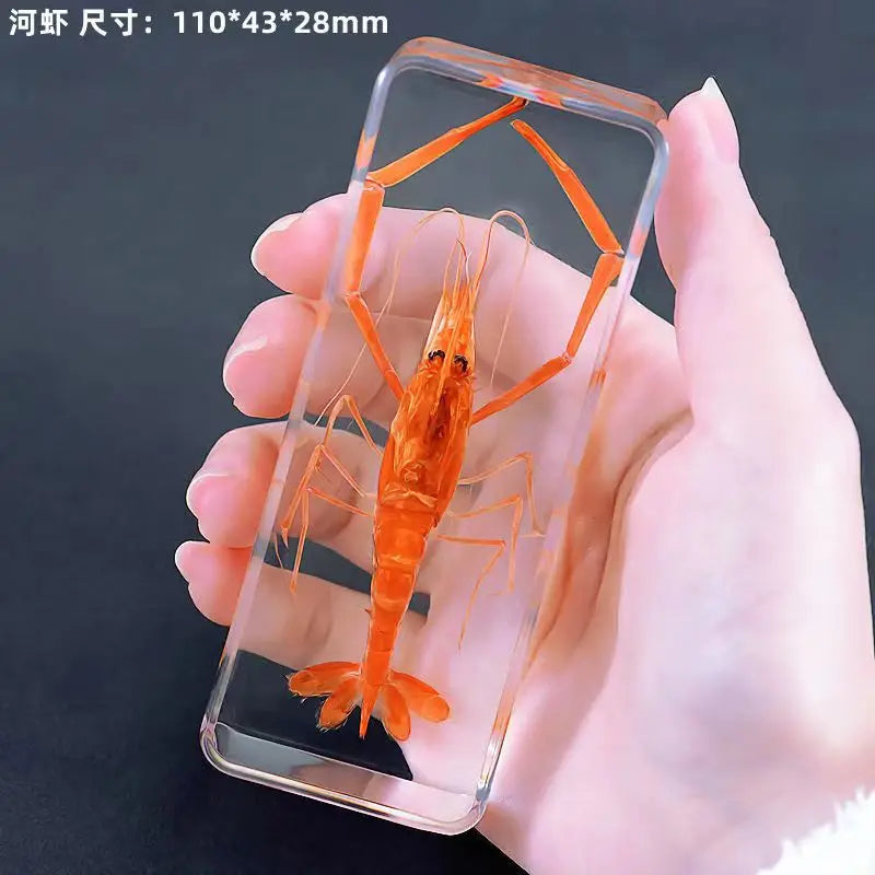 Resin Insect Specimen Paperweight