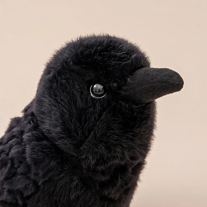 Black Crow Plush Toy