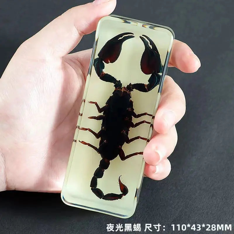 Resin Insect Specimen Paperweight