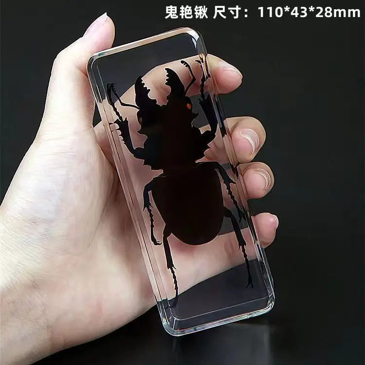 Resin Insect Specimen Paperweight