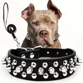 A black spiked leather dog collar and leash set with cone spike rivets and metal hardware, shown against a plain white background.