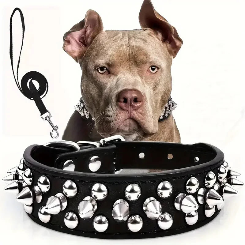 A black spiked leather dog collar and leash set with cone spike rivets and metal hardware, shown against a plain white background.