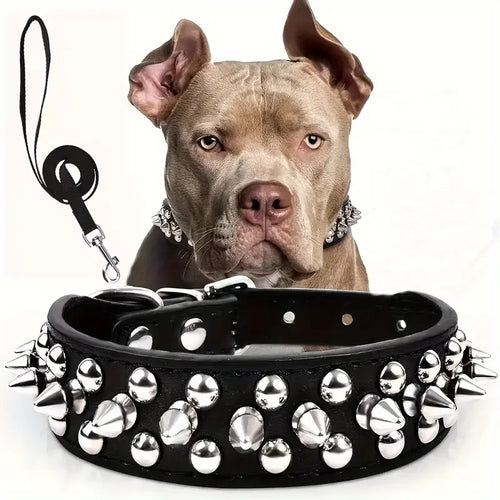 A black spiked leather dog collar and leash set with cone spike rivets and metal hardware, shown against a plain white background.