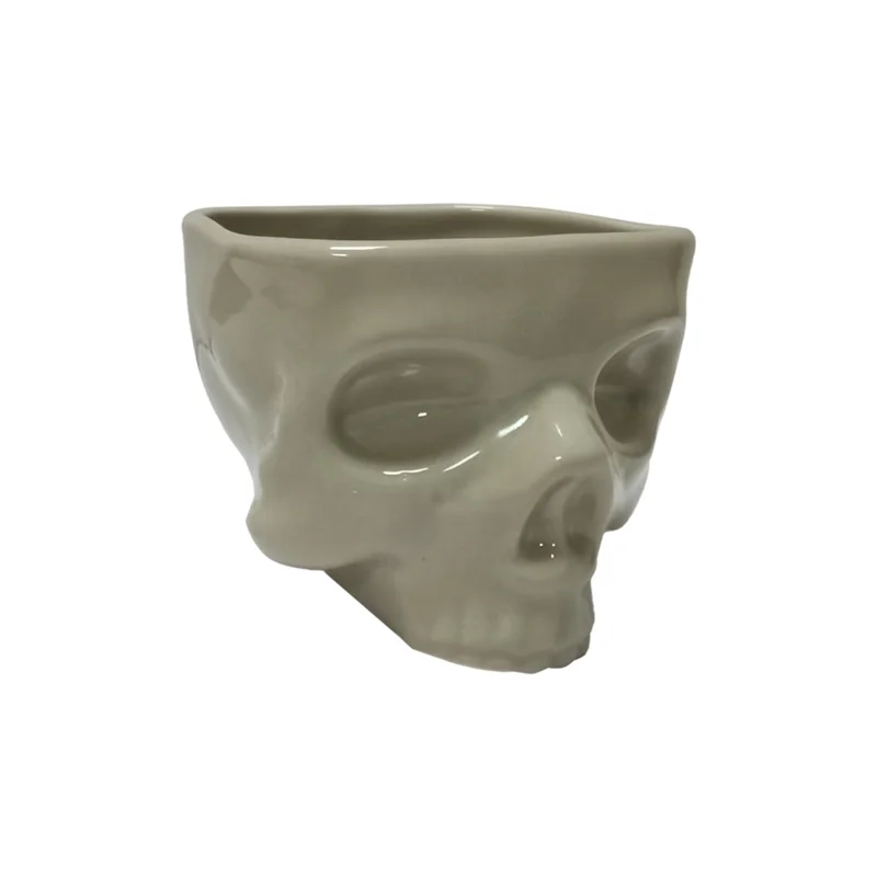 Ceramic Skull Bowl