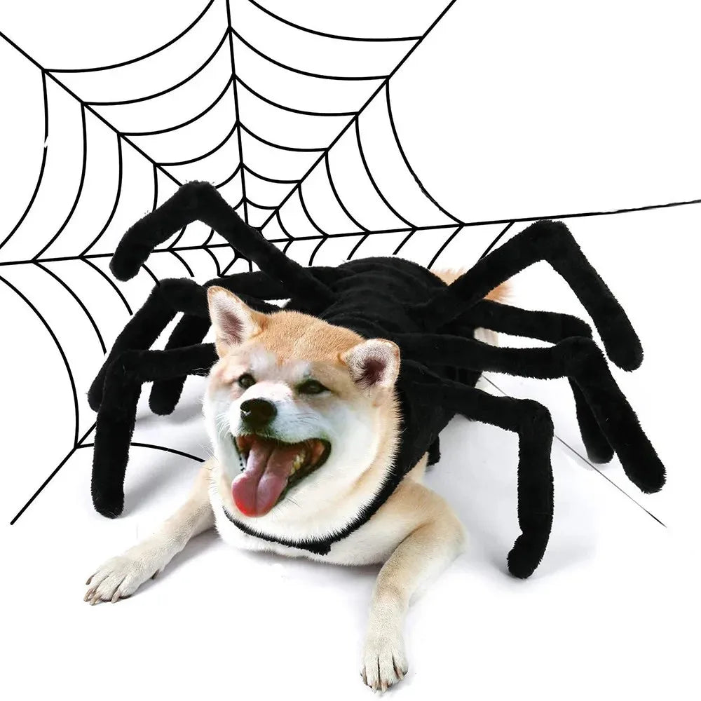 Halloween spider costume for cats and dogs, view 1