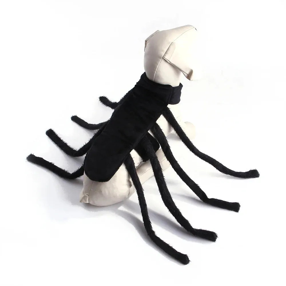 Halloween spider costume for cats and dogs, view 2