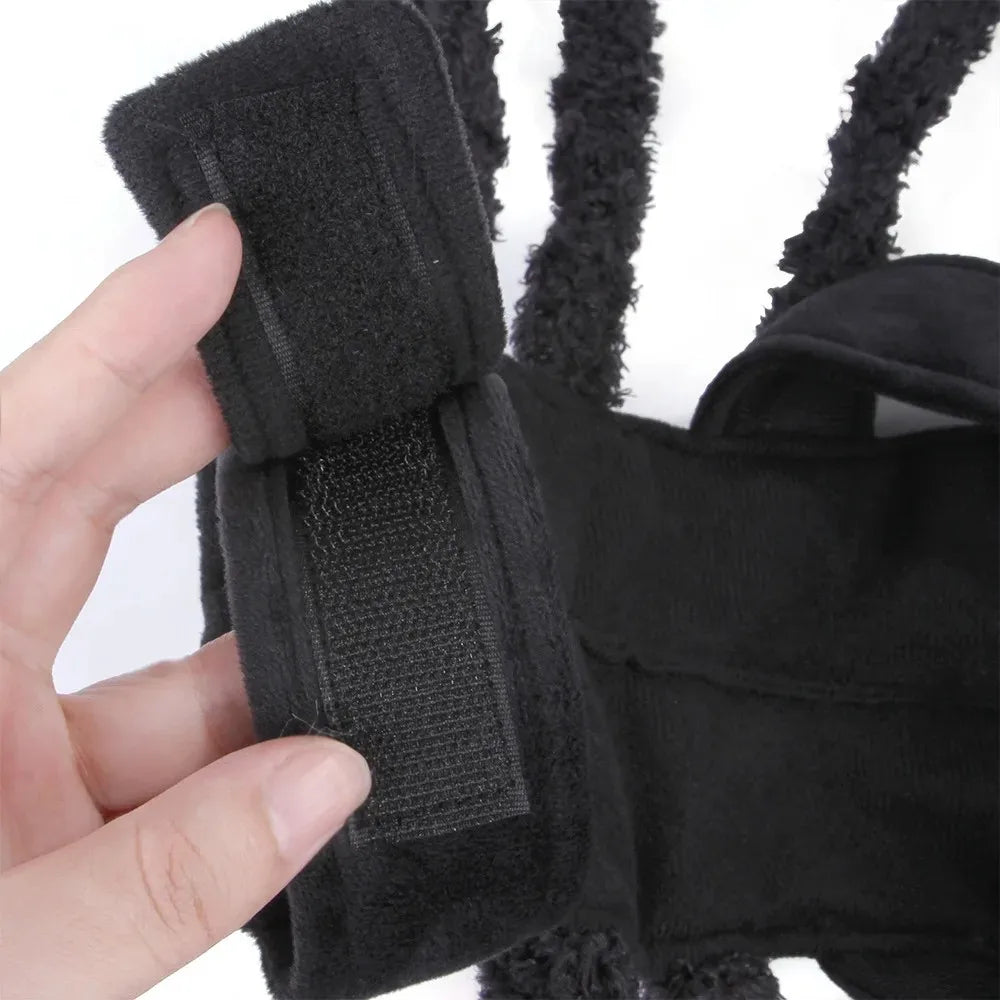 Halloween spider costume for cats and dogs, view 3