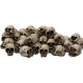A set of 20 small gothic skull sculptures with a weathered, bone-white finish and detailed, realistic features.