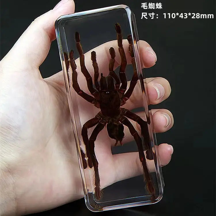 Resin Insect Specimen Paperweight