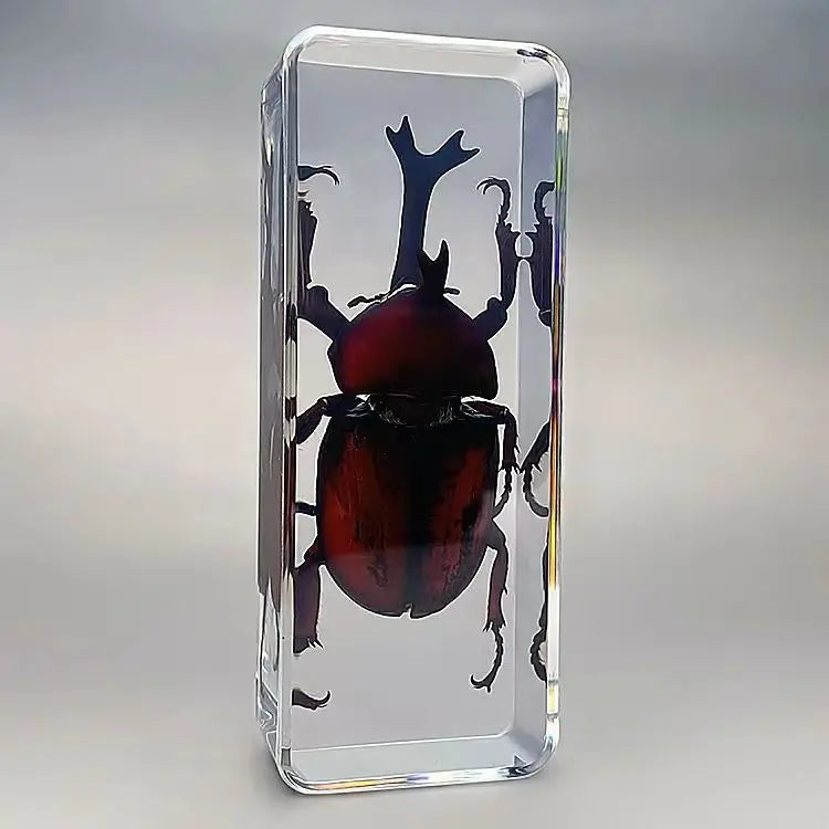 Resin Insect Specimen Paperweight