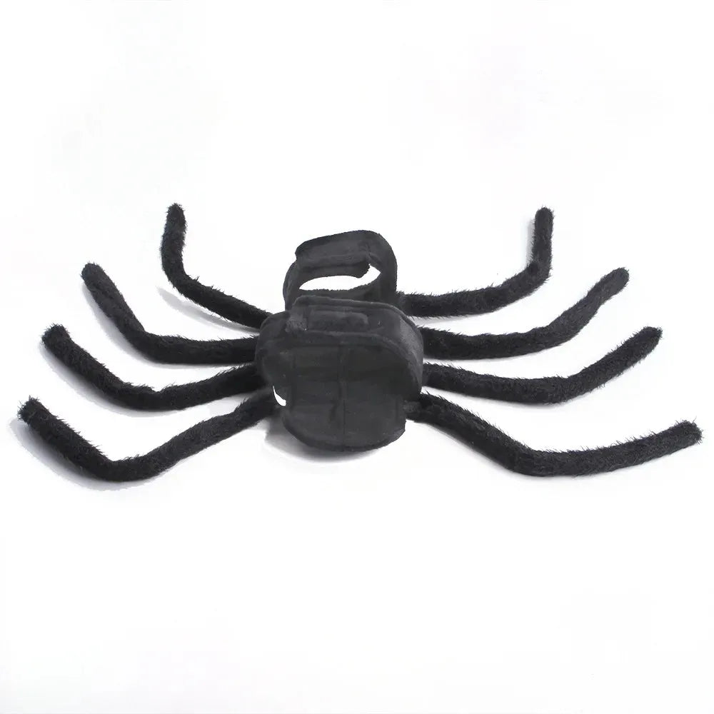 Halloween spider costume for cats and dogs, view 6