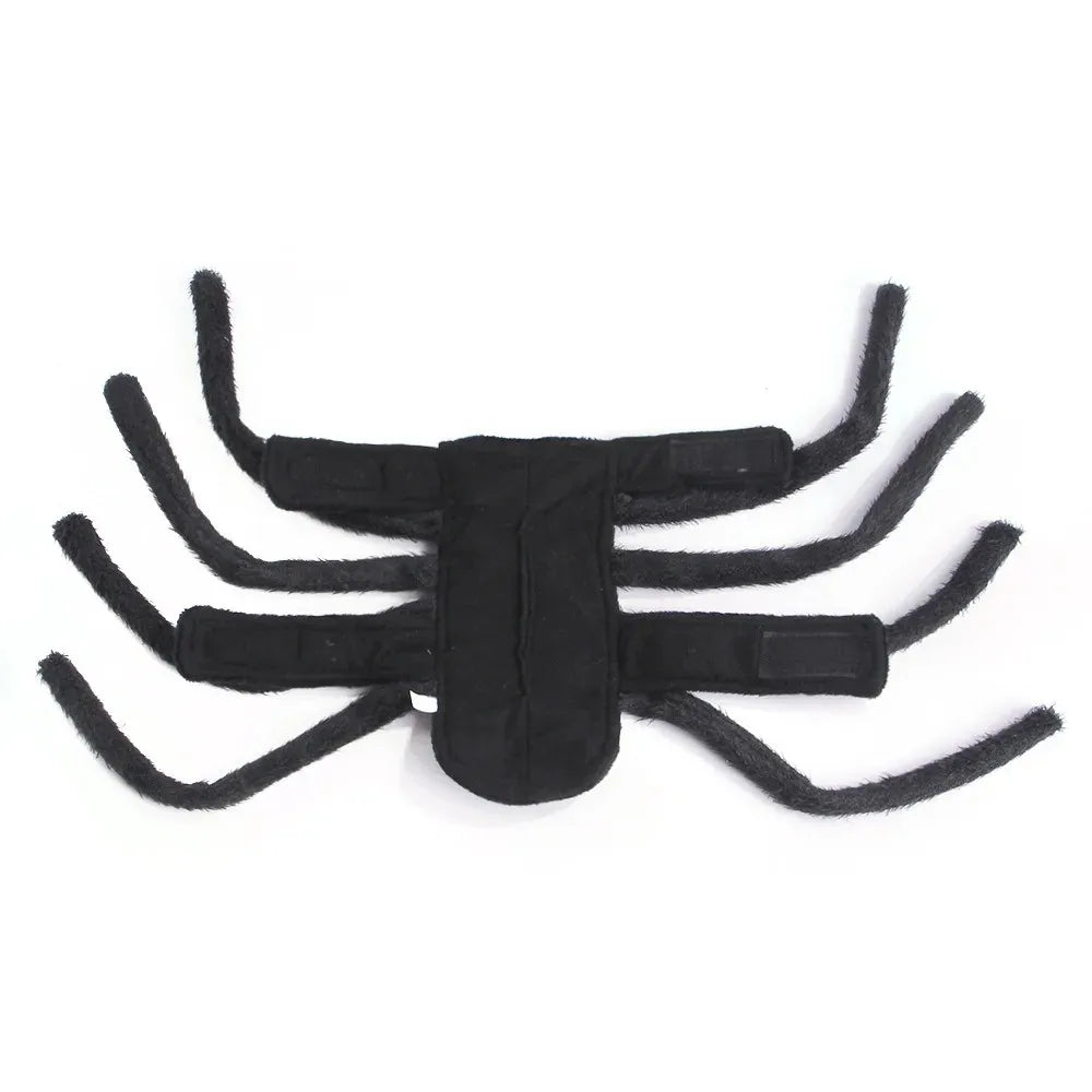 Halloween spider costume for cats and dogs, view 4
