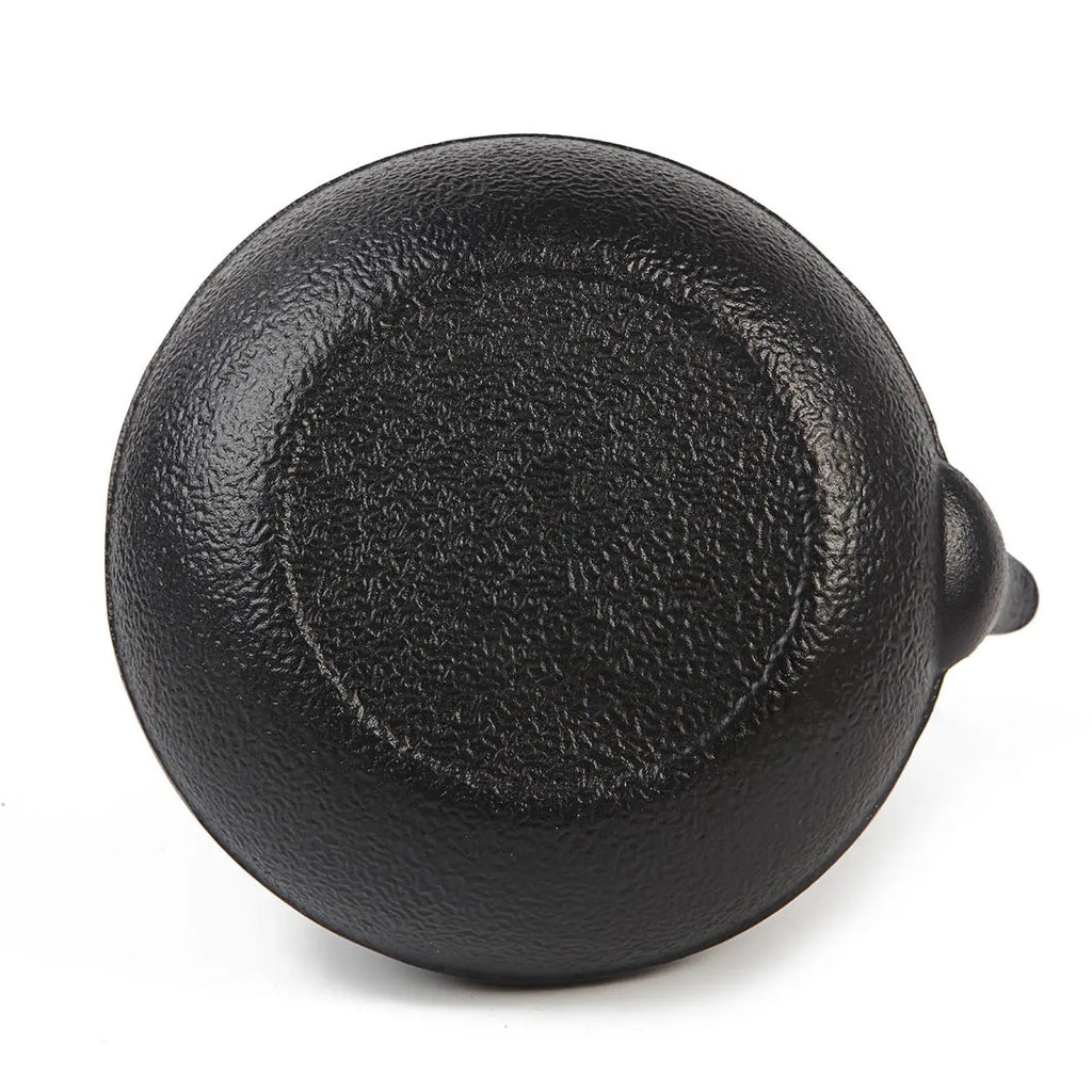 Cast Iron Japanese-Style Teapot
