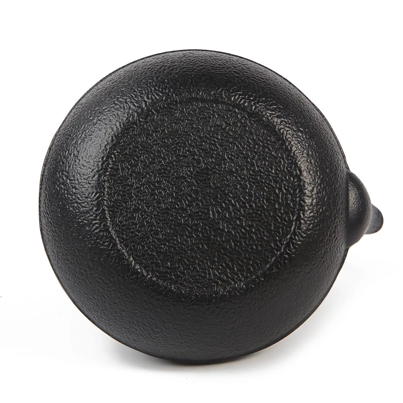 Cast Iron Japanese-Style Teapot